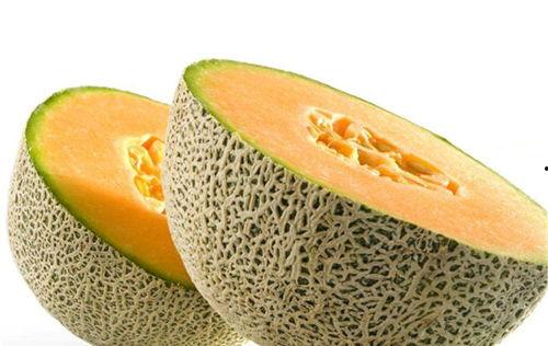 兔子炖哈密瓜可以吃吗视频,兔子炖哈密瓜的独特风味揭秘