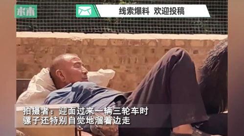 老伙计回家吃瓜视频大全,笑料百出视频大全