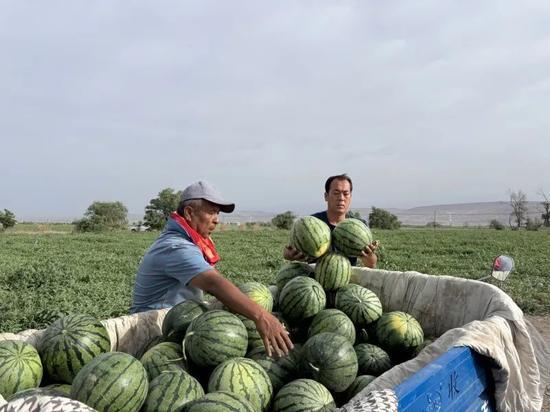 一中吃瓜原视频,一场校园美食盛宴的狂欢
