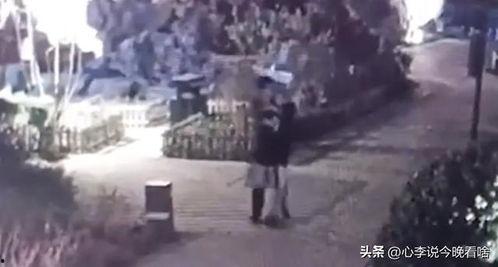 鲁山吃瓜事件视频完整版,一场引发社会热议的乡村冲突全纪录