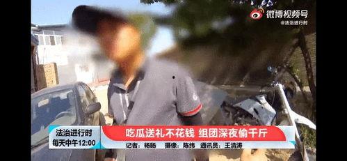 吃瓜爆料四千年视频大全