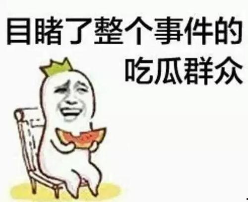 周六吃瓜群众直播视频大全,精彩瞬间回顾