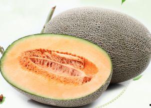 哈密瓜吃瓜哥是谁啊视频,网络红人的崛起之路