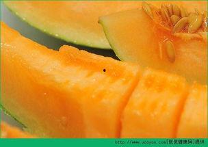 熊类可以吃哈密瓜吗视频,揭秘野生动物的饮食习惯